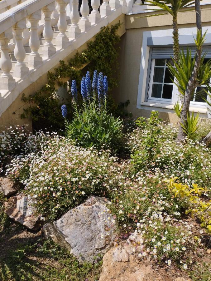 Villa Flora Superior Apartment Cabris Exterior photo